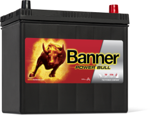 Banner Power Bull 45   P4523