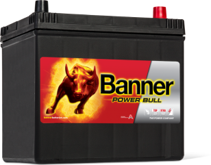 Banner Power Bull 60   P6068