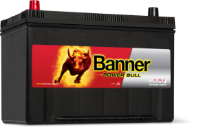Banner Power Bull 95   P9505